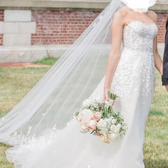 Mira Zwillinger, Charla Dress and Matching Veil, Size 6 - Picture 7 of 8